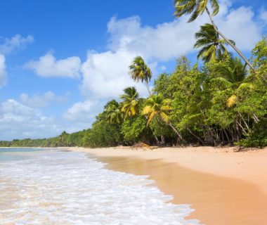 De la plage à la montagne : comment une voiture de location transforme votre voyage en Martinique ?